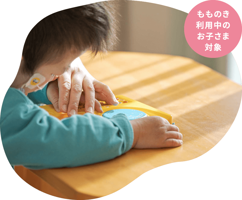 保育所等訪問支援｜サービス紹介｜茨城県つくば市の障がい児通所支援「もものき」